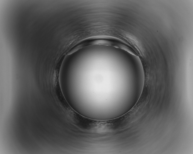 X0000096190121200801181329