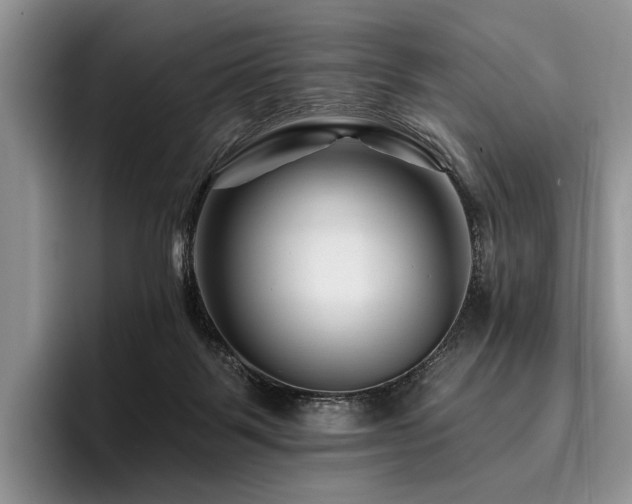 X0000096190123200801181329