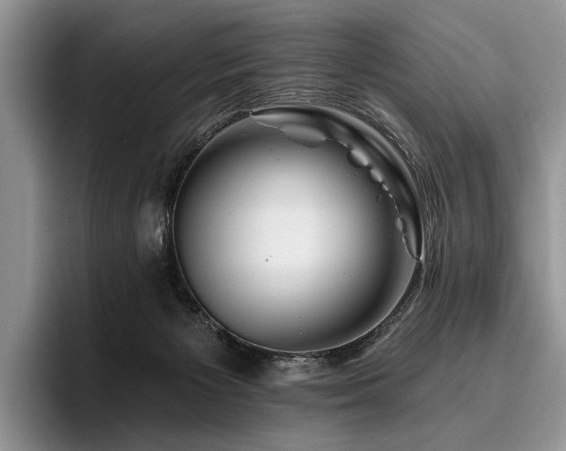 X0000096190125200801181328