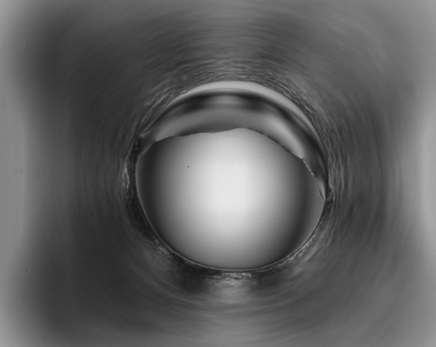 X0000096190128200801181328
