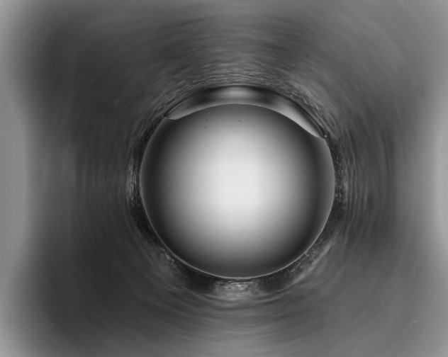X0000096190129200801181328