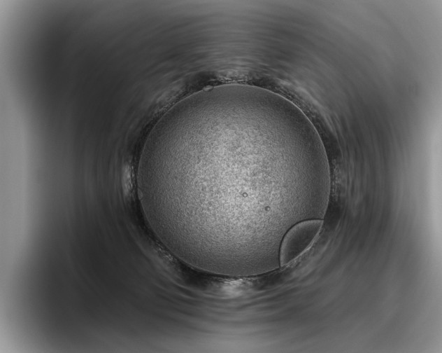 X0000096190130200801181328