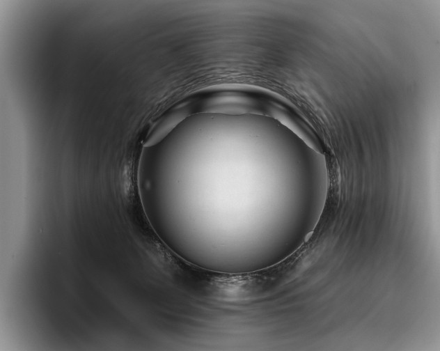 X0000096190131200801181328