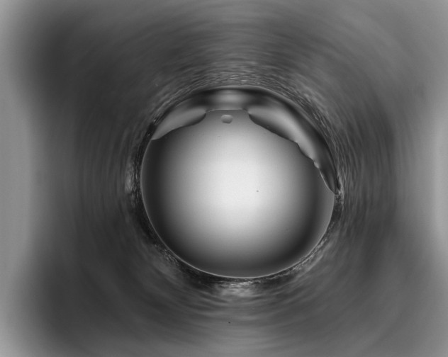 X0000096190132200801181328