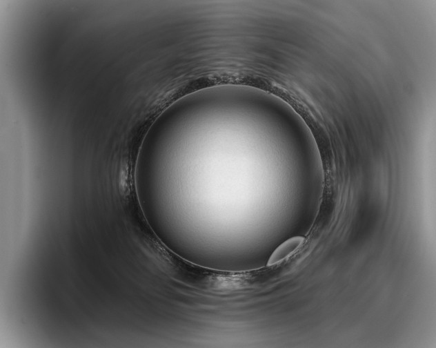 X0000096190134200801181328