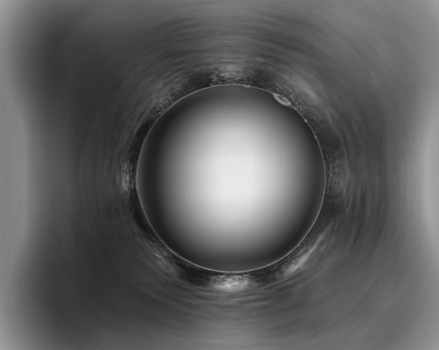 X0000096190135200801181328