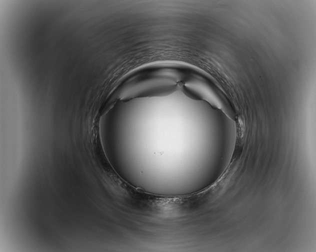 X0000096190136200801181328