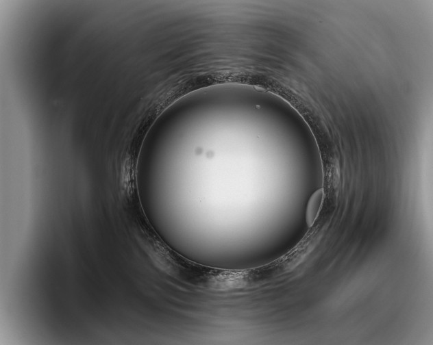 X0000096190138200801181328