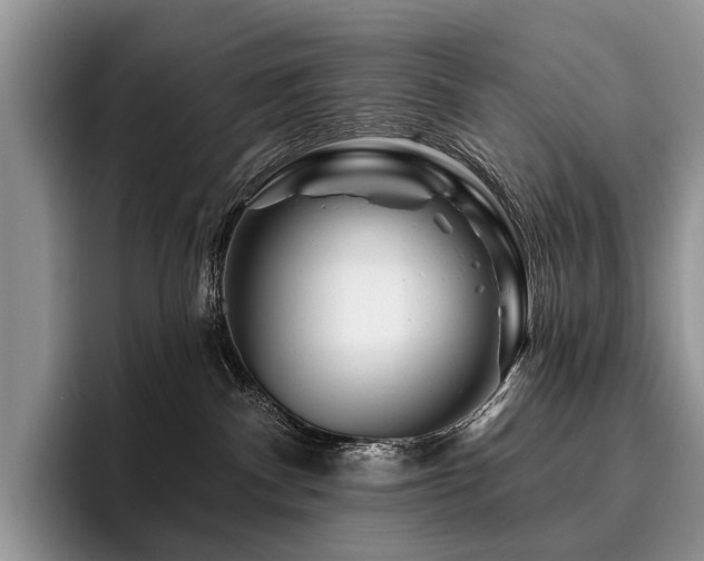 X0000096190140200801181328