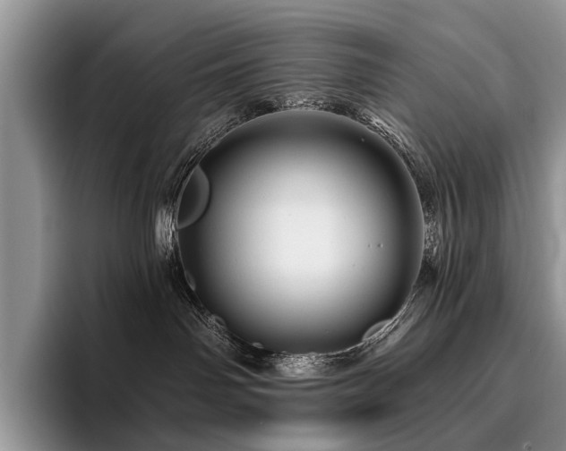 X0000096190142200801181328