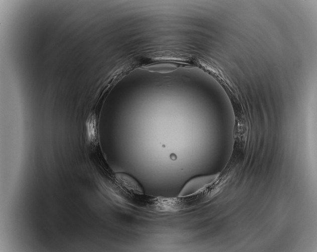 X0000096190143200801181328
