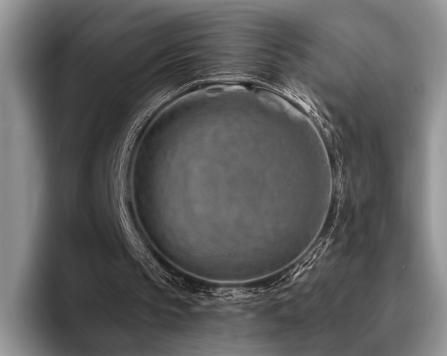 X0000096190145200801181328