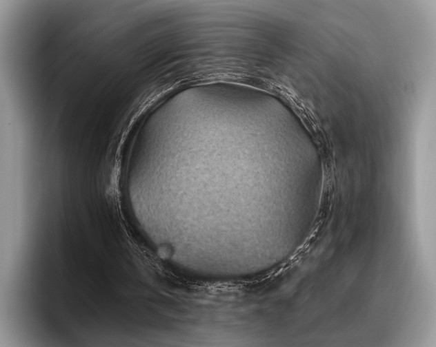 X0000096190146200801181328