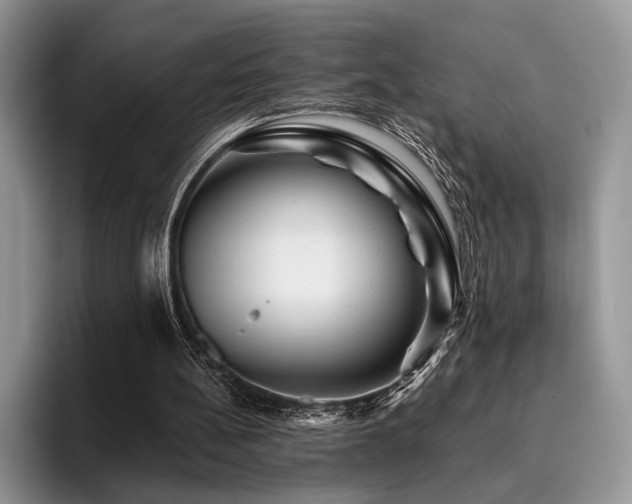 X0000096190148200801181328