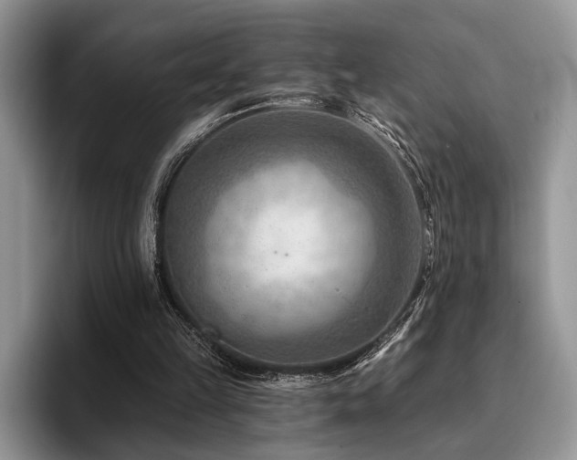 X0000096190149200801181328