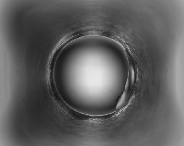 X0000096190150200801181328