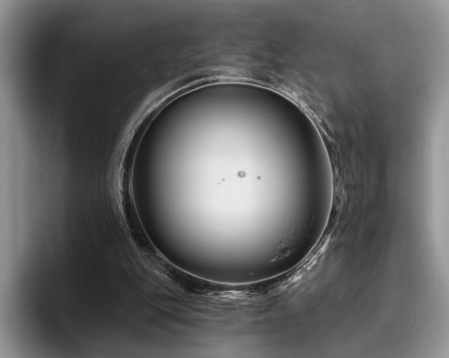 X0000096190151200801181328