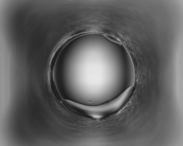 X0000096190152200801181328