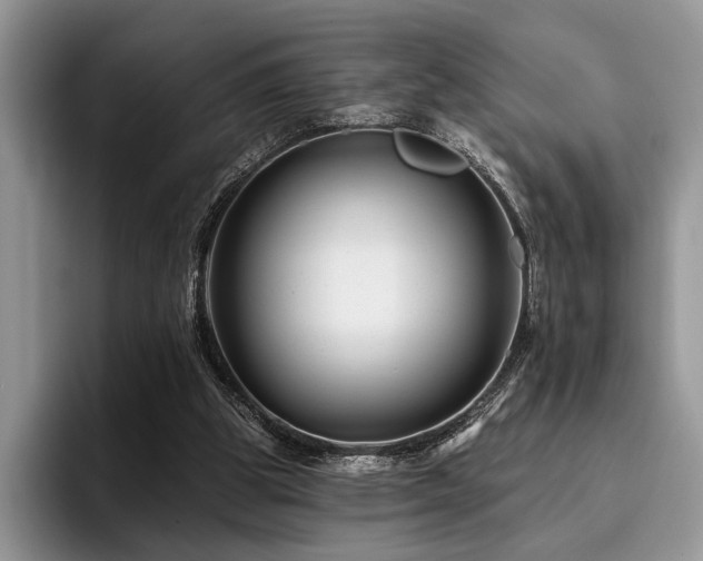 X0000096190153200801181328