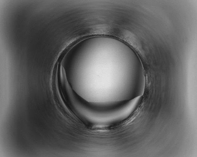 X0000096190156200801181328
