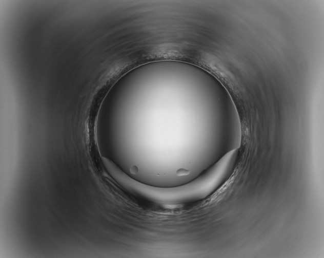 X0000096190158200801181328