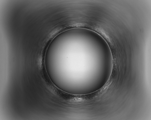 X0000096190159200801181328