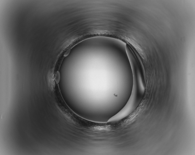 X0000096190160200801181328
