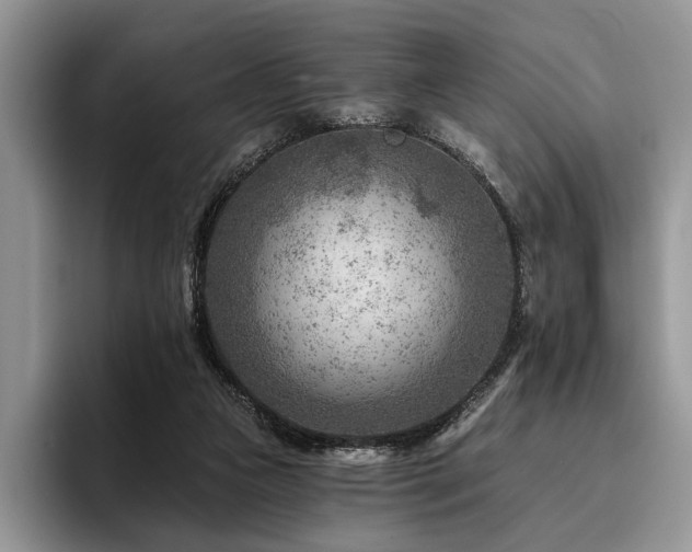 X0000096190161200801181328