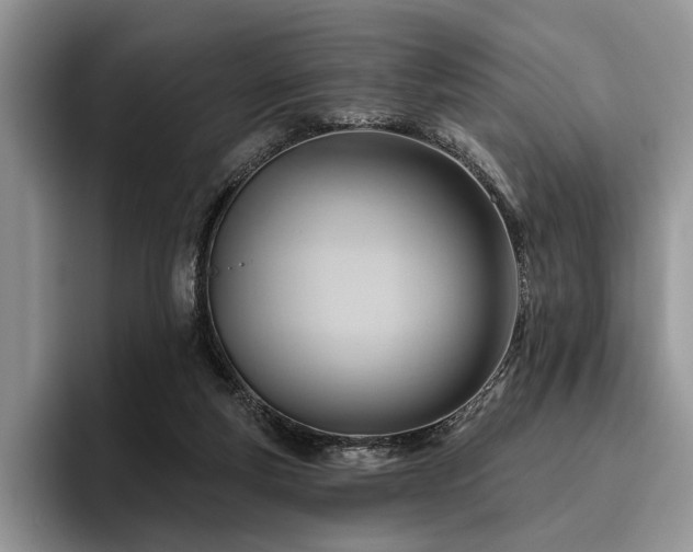 X0000096190163200801181328
