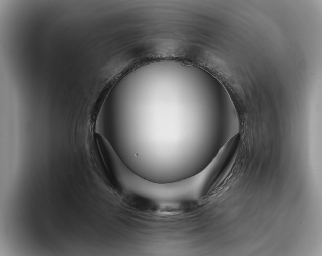X0000096190164200801181328