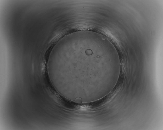 X0000096190165200801181328