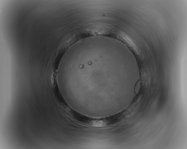 X0000096190169200801181328