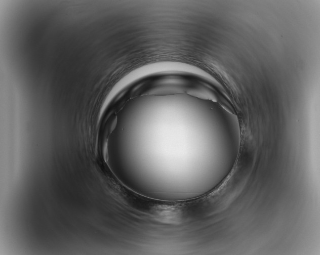 X0000096190170200801181328