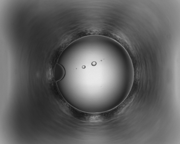 X0000096190173200801181328