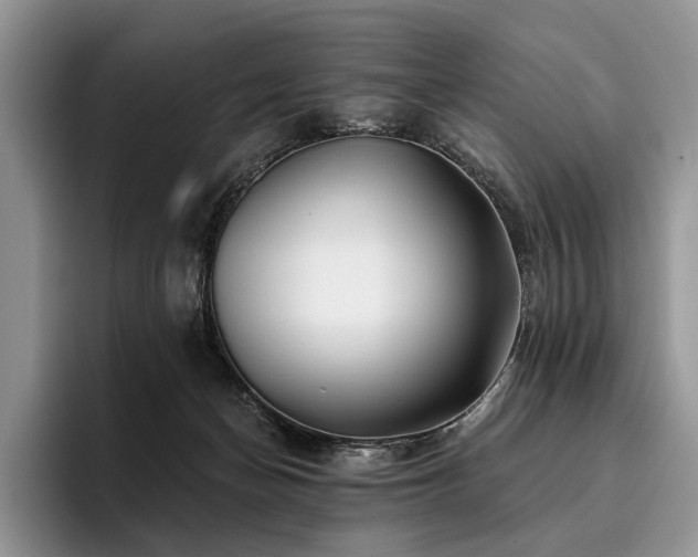 X0000096190174200801181328