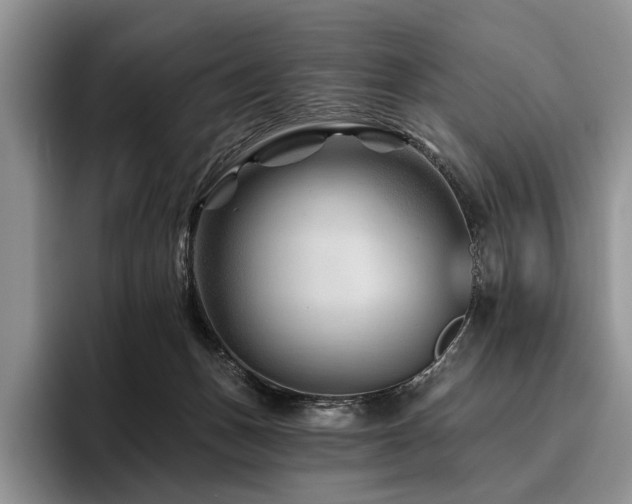 X0000096190175200801181328