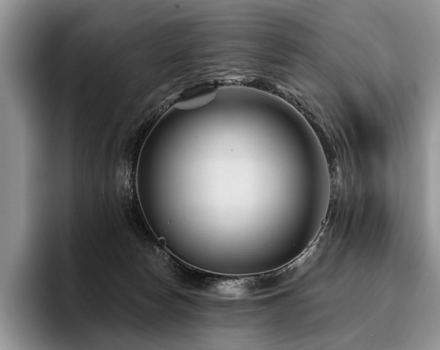 X0000096190178200801181328