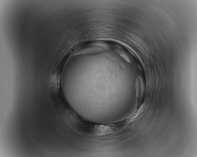X0000096190180200801181328