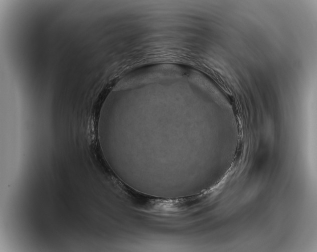 X0000096190182200801181328
