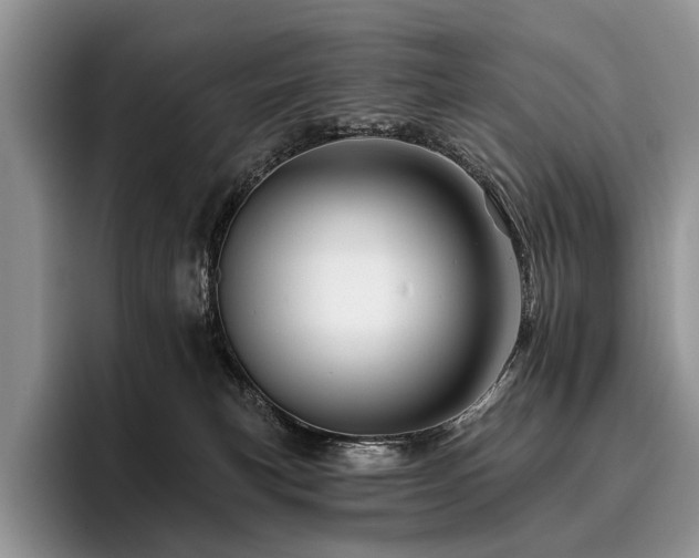 X0000096190183200801181328
