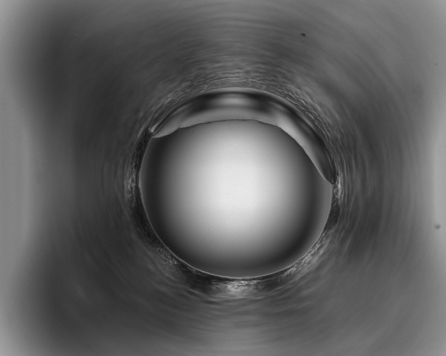 X0000096190184200801181328