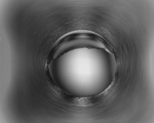X0000096190186200801181328