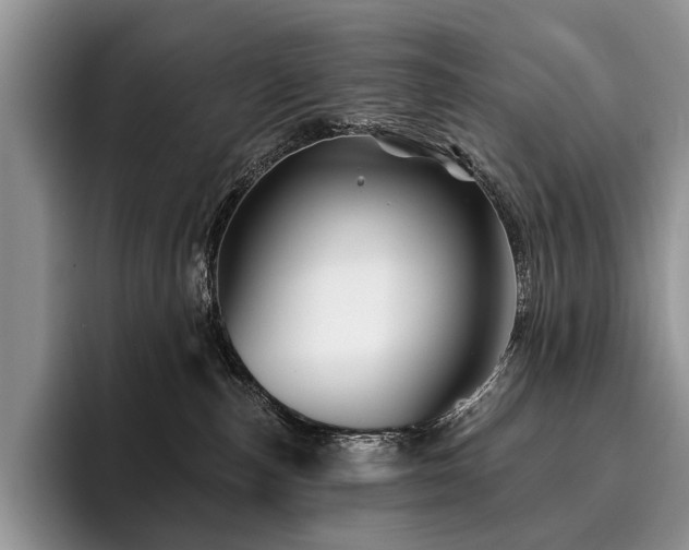 X0000096190187200801181328