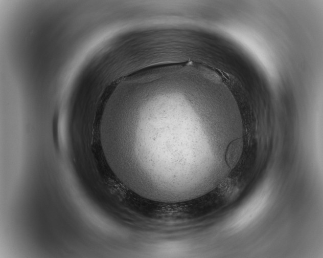 X0000096190189200801181328