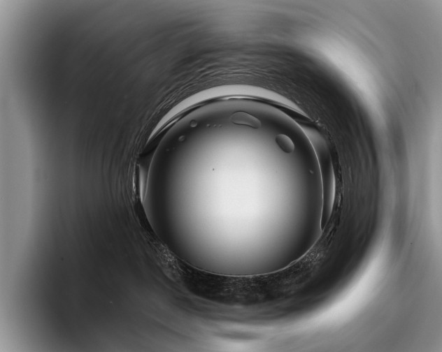 X0000096190190200801181328
