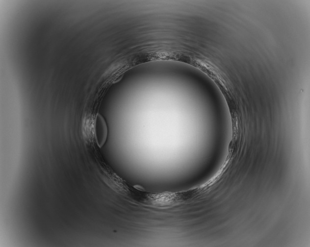 X0000096190191200801181328
