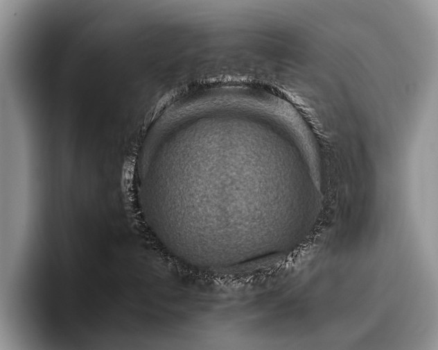 X0000096190192200801181328