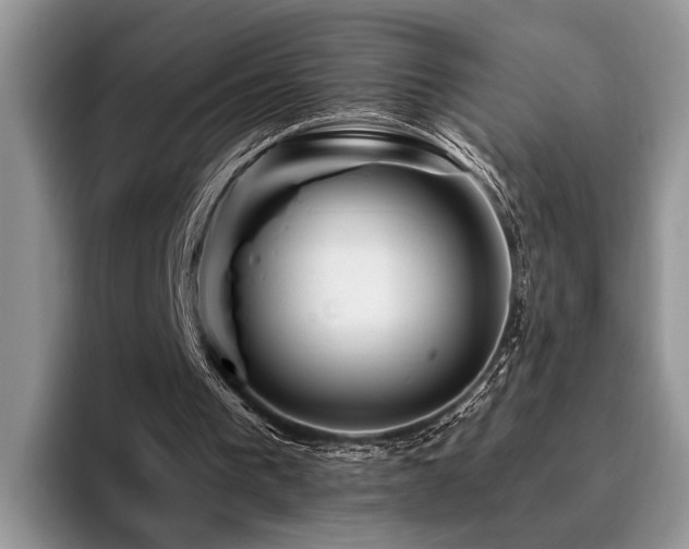 X0000096190193200801181328
