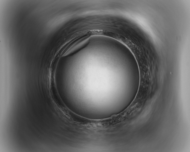 X0000096190194200801181328