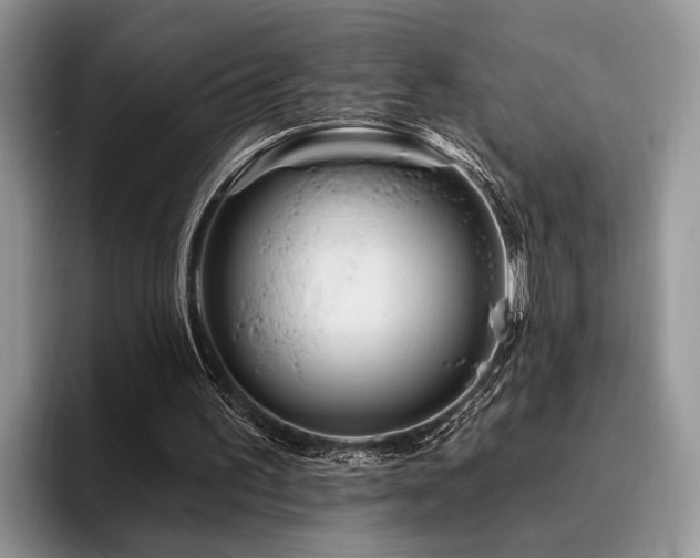 X0000096190195200801181328